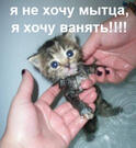 ванять